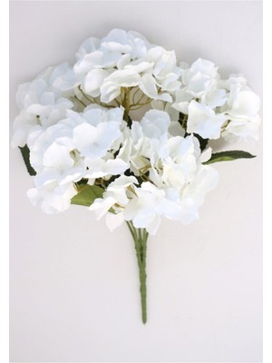 Fesleğen Çiçek 1 Adet 7 Kafalı 38 cm Çapında Beyaz Ortanca