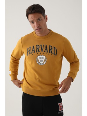 Harvard Koyu Hardal Erkek Sweatshirt