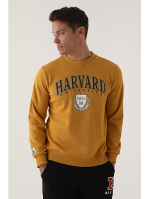 Harvard Koyu Hardal Erkek Sweatshirt