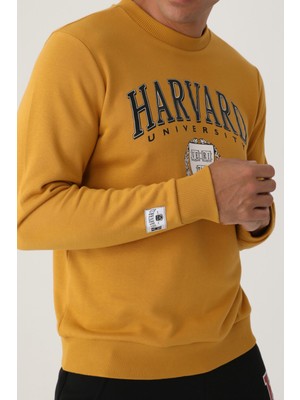 Harvard Koyu Hardal Erkek Sweatshirt