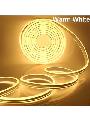 Clan 5 Metre Tak Çalıştır 220V Günışığı Neon LED
