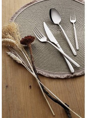 Pierre Cardin 84 Parça 12 Kişilik Çatal Bıçak Takımı Levy