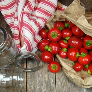 Turşuluk Biber Tohumu Tatlı Top Biberiye