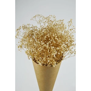 Fesleğen Çiçek Şoklanmış Cipso Demeti Krem