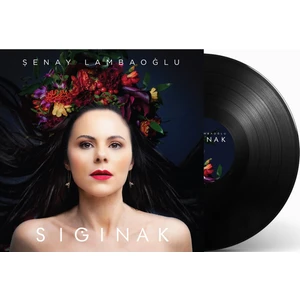 Şenay Lambaoğlu - Sığınak - Plak
