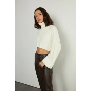 Balıkçı yaka crop kazak