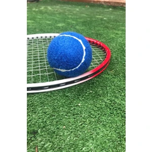 1 Adet Antrenman Tenis Topu Mavi