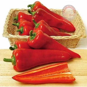 Yerli Kırmızı Kapya Biber Tohumu