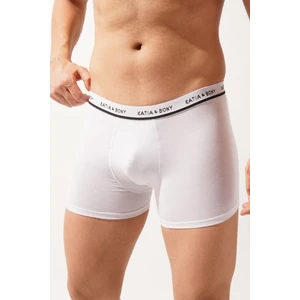 2'li Paket Erkek Modal Basıc Boxer Beyaz/Beyaz