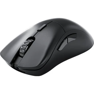 Model D 2 Pro 1k Polling Siyah Kablosuz Oyuncu Mouse