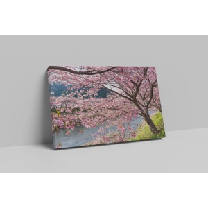 Sakura Ağacı 70 x 100  Kanvas Tablo