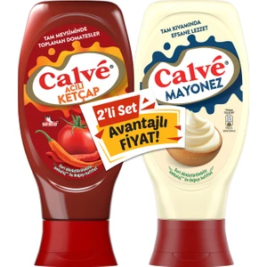 2li Set Acılı Ketçap 430 g +  Mayonez 380g