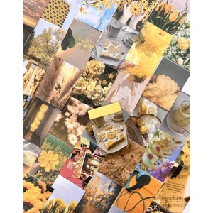 Kağıt Gemi Dükkan Garden Star Sarı Defter Sticker / Çıkartma / Bullet Journal / Defter Süsleme/ Scrapbook