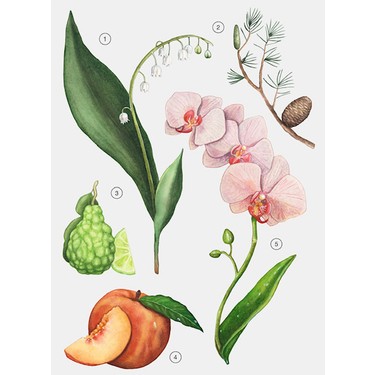 Zara Orchid Happy Holidays 3,0 Fl. Oz Kadın Parfümü 90 ml Fiyatı