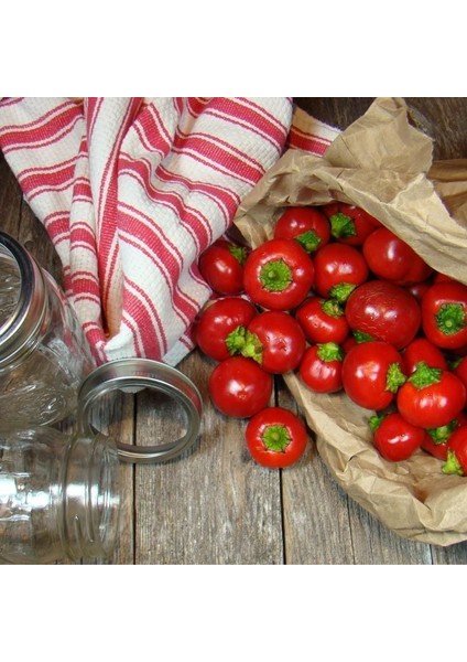 Turşuluk Biber Tohumu Tatlı Top Biberiye