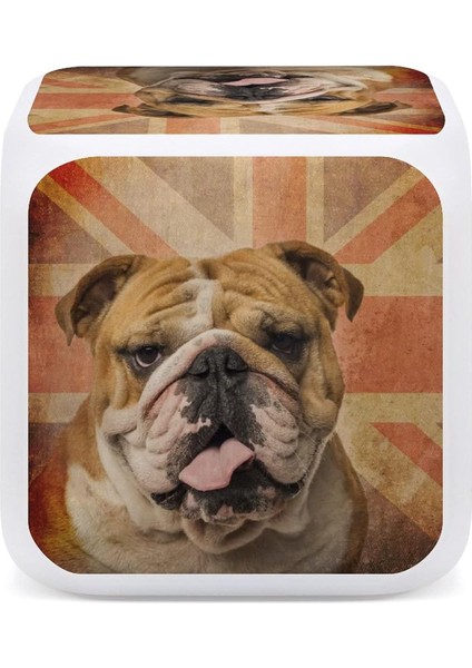 Ingilizce Bulldog Bayrağı Çalar Saat Kız Erkek Çocuklar Için Değişen 7 Renk, Yatak Odası Için Elektronik Küçük Alarm Saatleri, Oda Dekoru Için Yumuşak LED Parlayan Küp Uyandırma Sa (Yurt Dışından)