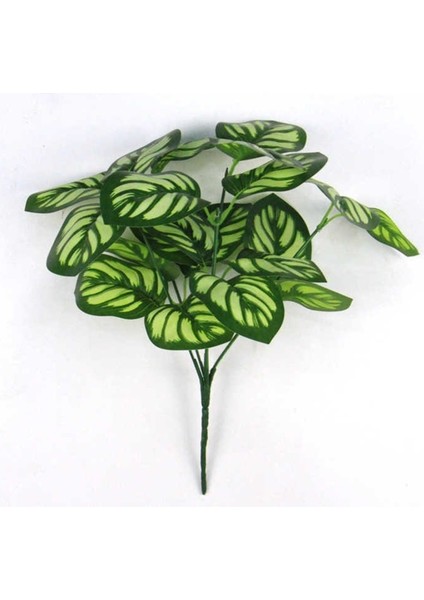 Yapay Büyük Lüx Islak Berilla Bitkisi Kolyos Model fiyatları