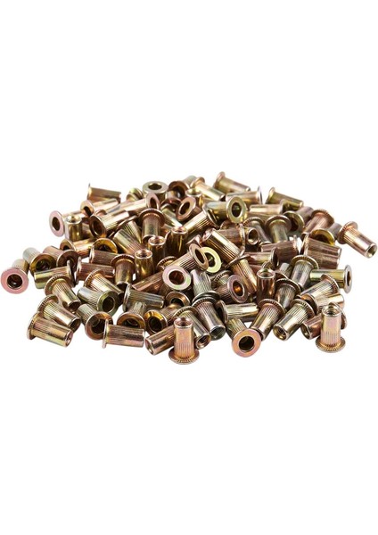 200 Adet Havşa Başlı Kör Perçin Somun Perçin Somunları, 100 Adet M3X9MM & 100 Adet M5 (Yurt Dışından)