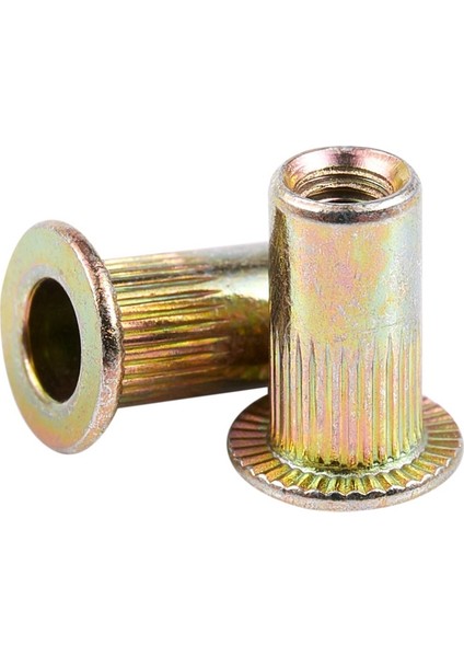 200 Adet Havşa Başlı Kör Perçin Somun Perçin Somunları, 100 Adet M3X9MM & 100 Adet M5 (Yurt Dışından)