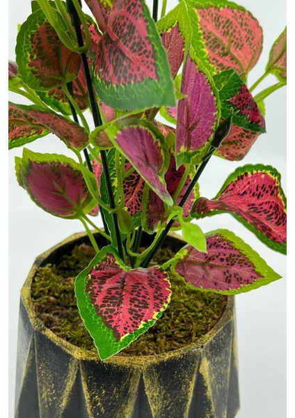 Eskitme Üçgen Kesim Yapay Yaprak Güzeli Kolyos fiyatları