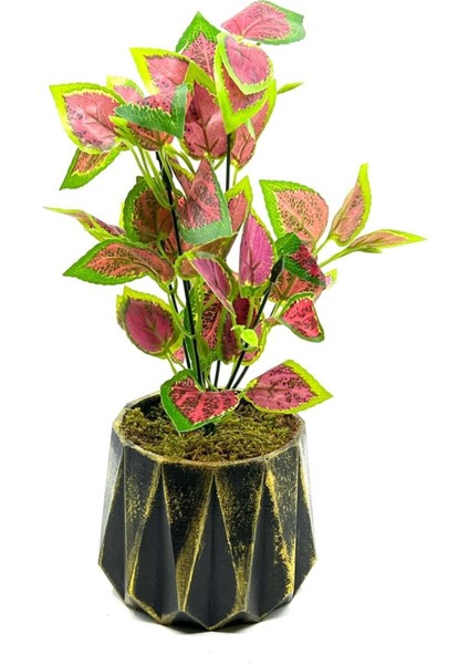 Eskitme Üçgen Kesim Yapay Yaprak Güzeli Kolyos fırsatları