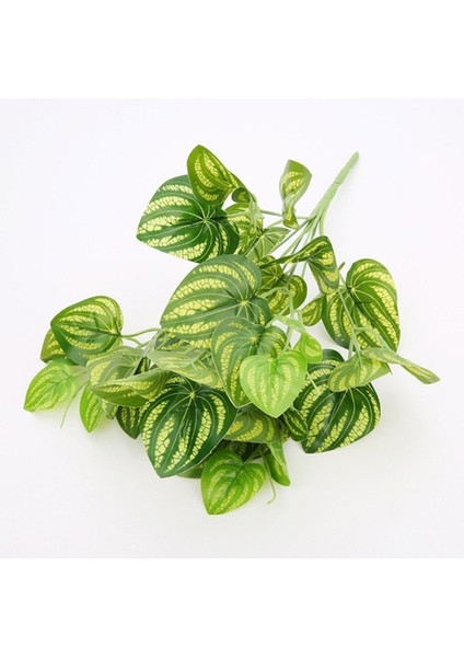 Yapay Büyük Lüx Islak Berilla Bitkisi Kolyos Model