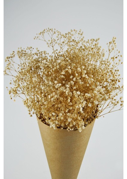 Şoklanmış Cipso Demeti Krem