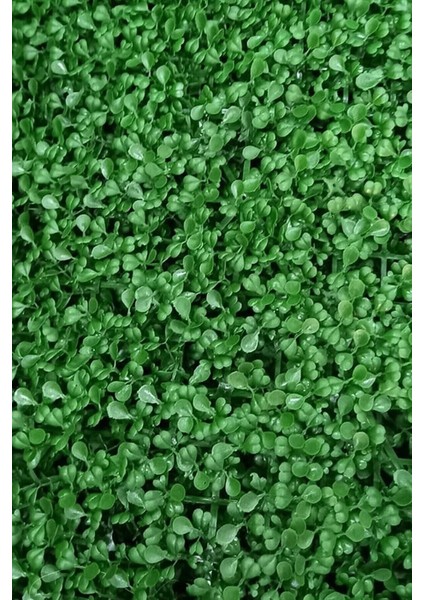 10'adetli Dekoratif Yapay Bitki Duvar Kaplama Panel Şimşir Tabaka 40X60 cm Yeşil Dikey Bahçe modelleri