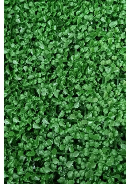 Dekoratif Yapay Bitki Duvar Kaplama Panel Şimşir Tabaka 40X60 cm Yeşil Dikey Bahçe