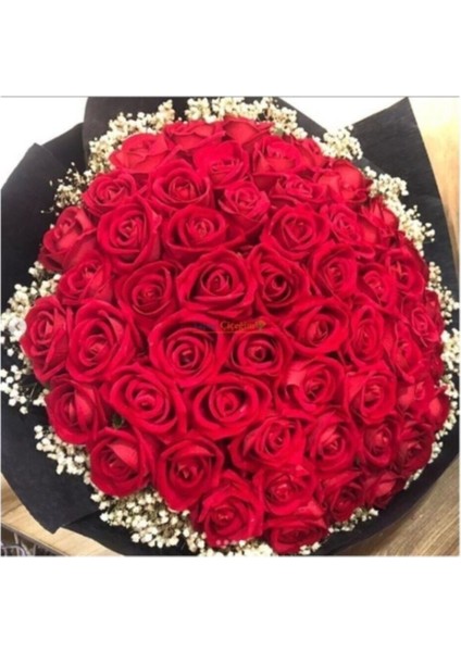 Kadife Güllü Isteme Çiçegi