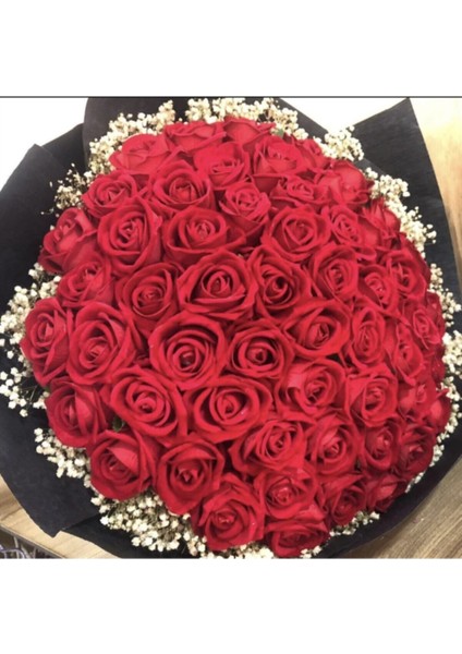 Kadife Güllü Isteme Çiçegi fırsatları