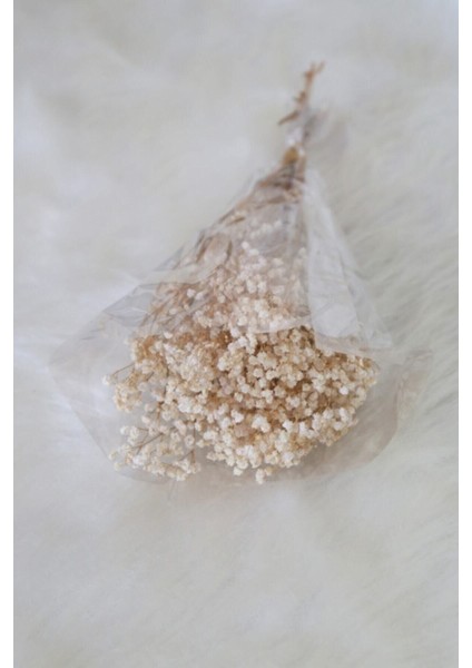 Şoklanmış Cipso Doğal Renk 1. Kalite 45-50 gr