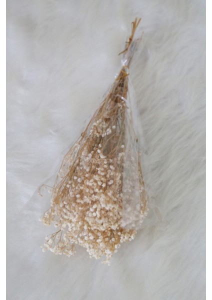 Şoklanmış Cipso Doğal Renk 1. Kalite 45-50 gr fırsatları