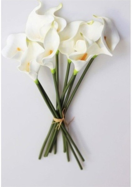 Yapay Çiçek Islak Gerçekçi Doku Gala Çiçeği 6 Dal modelleri