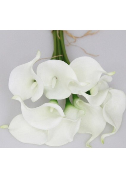 Yapay Çiçek Islak Gerçekçi Doku Gala Çiçeği 6 Dal fırsatları