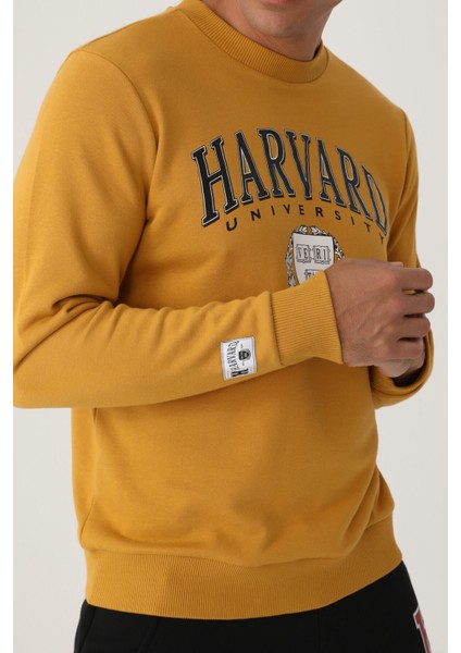 Koyu Hardal Erkek Sweatshirt