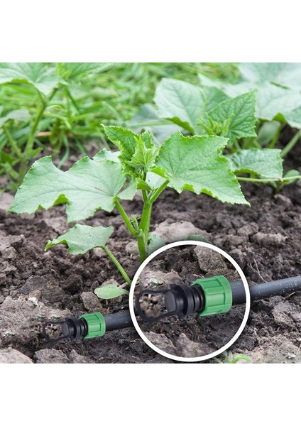 Damla Sulama Borusu Uç Kapağı Tapası 1/2 Inç Evrensel Uç Kapağı Bağlantısı, 16MM Damlama Bantlı Boru Yağmurlama Sistemi ile Birlikte (Yurt Dışından) fırsatları