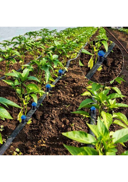 Sulama Bayrak Damlatıcı-60*2 Gph Sulama Bayrak Damlatıcı-… (Yurt Dışından) indirimleri