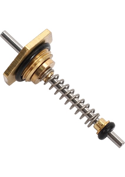 20 Adet 10MM Yüksek Kalite Yeni Gaz Kazanı Su Vanası Yüksük Uzunluğu 41MM Lpg Su Isıtıcı Vana (Yurt Dışından) indirimleri