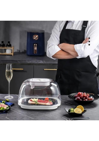 Gri Kilitleme Beslenme Biftek Hızlı Çözdürücü Sirkülasyonlu Isı Dağıtım Sistemi Büyük Kapasiteli Donma Çözülme Tepsisi Mutfak Aracı (Yurt Dışından) indirimleri