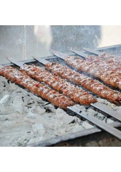 2 Adet 50CM Adana Kebap Şiş - Lezzetli Döner Et Izgara ve Şiş Pişirme Için Premium Galvanizli Demir Geniş Düz Barbekü OY1111 (Yurt Dışından)