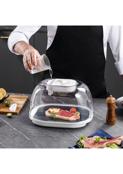 Altın Hızlı Çözülme Atomizasyon Koruma Büyük Kapasiteli Çözdürme Plakası Mutfak Aksesuarları (Yurt Dışından) modelleri