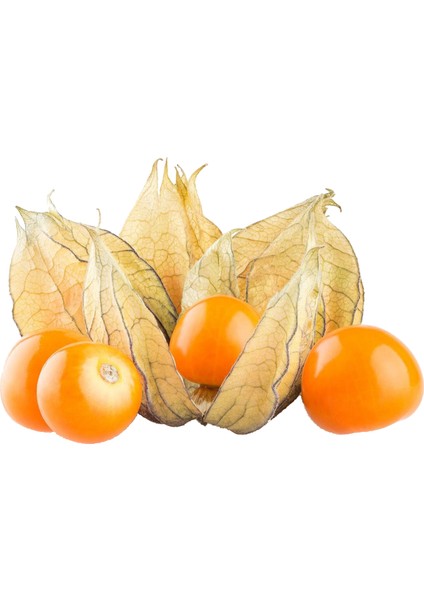 Gülen Bahçe Altın Çilek  Yer Kirazı (Goldenberry) 100 gr