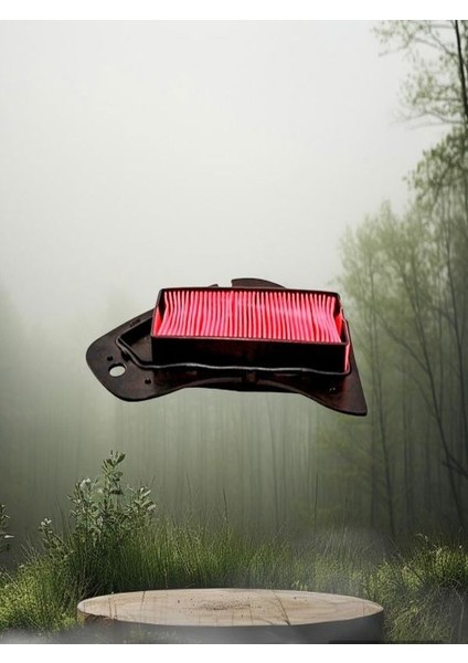 125T-D.10V-H-E Hava Filtre Elemanı