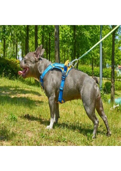 Köpek Harness Koşum Takımı Hafif Küçük ve Büyük Köpekler Uzanma Önleyici Göğüs Tasması 2.0 fırsatları