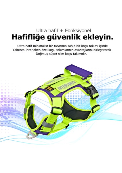 Köpek Harness Koşum Takımı Hafif Küçük ve Büyük Köpekler Uzanma Önleyici Göğüs Tasması 2.0 fiyatları