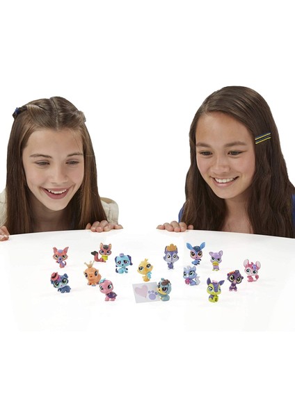 Lps Pet Fest Eski Minişler Koleksiyoner Seti Oyuncakları modelleri