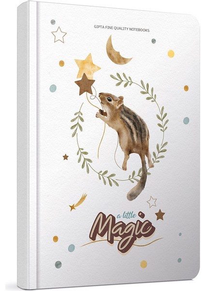 Magic Spiralli Sert Kapak 17X24 120 Yaprak Çizgili Defter 6235