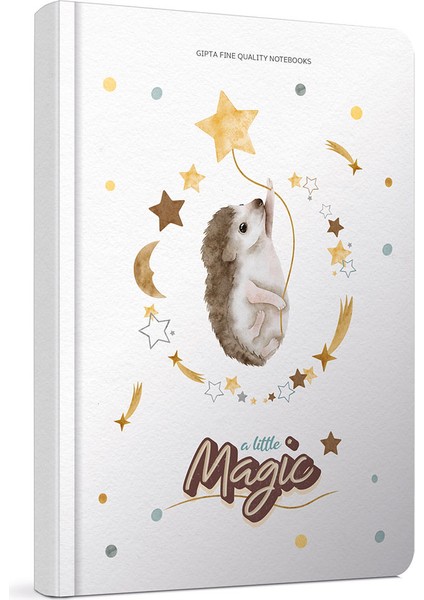 Magic Spiralli Sert Kapak 17X24 120 Yaprak Çizgili Defter 6235 fırsatları
