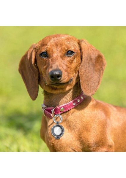 Anti-Lost Konum Koruyucu Kılıf (Yurt Dışından) fiyatları